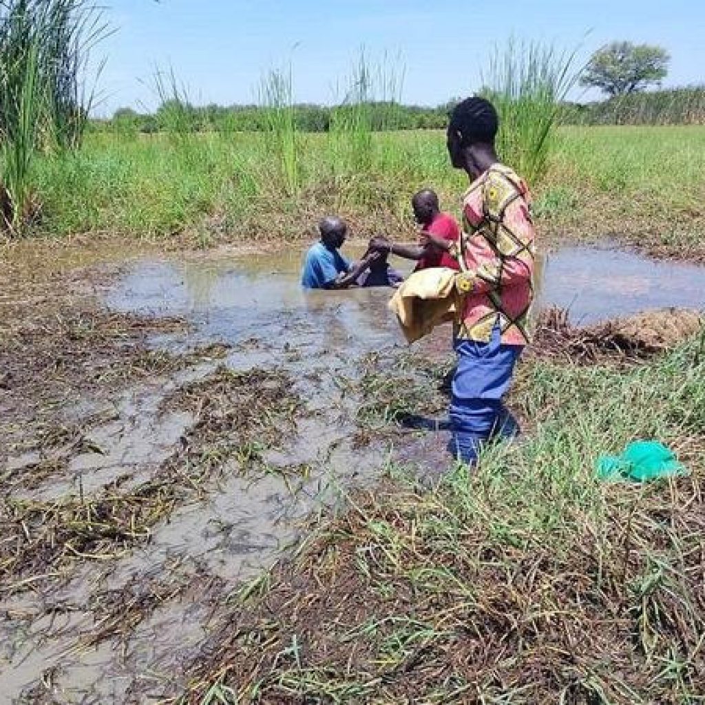 The SEED - October 2025